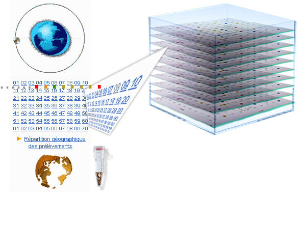 http://www.aillet.com/Appel/Cube.jpg