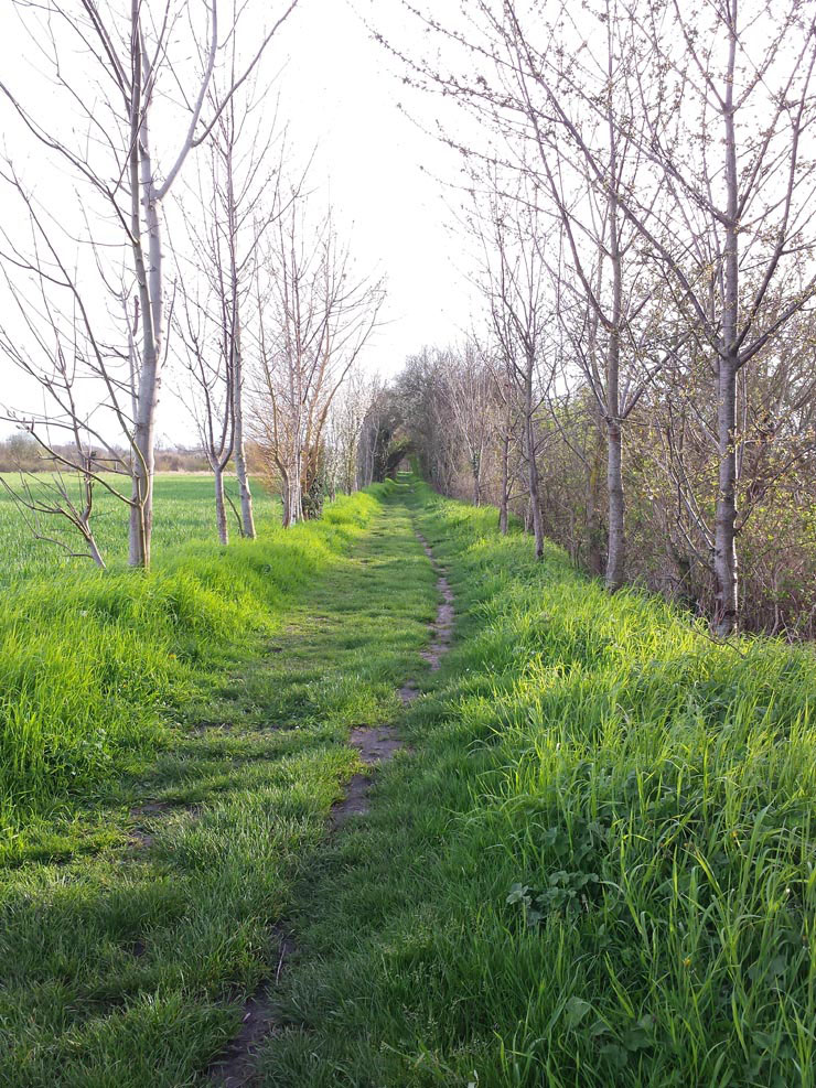 Trionic_Veloped_14_155