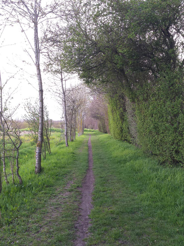 Trionic_Veloped_14_156