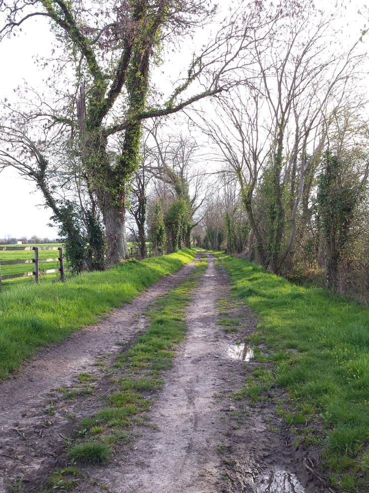 Trionic_Veloped_14_157