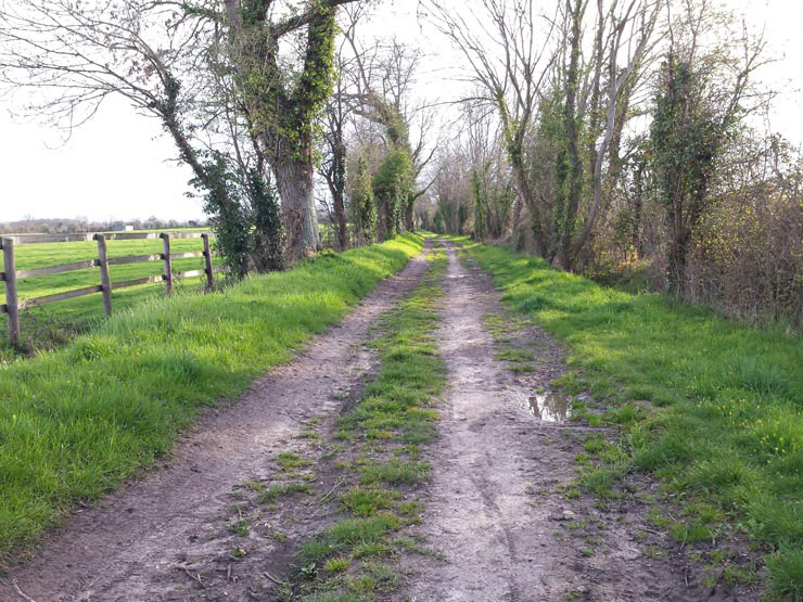 Trionic_Veloped_14_158