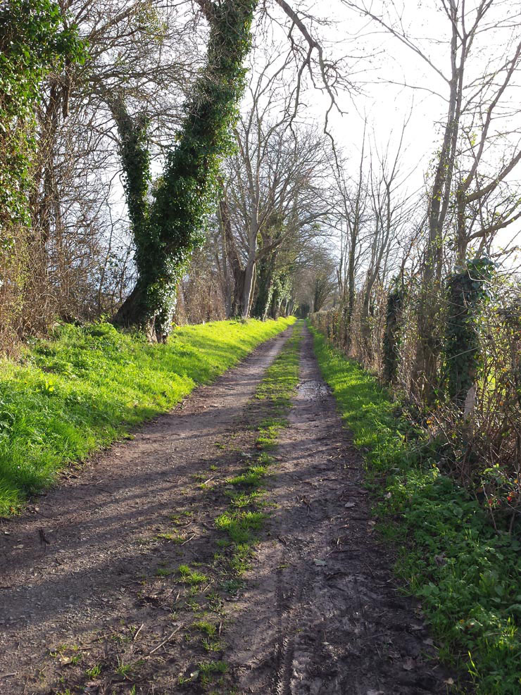 Trionic_Veloped_14_159