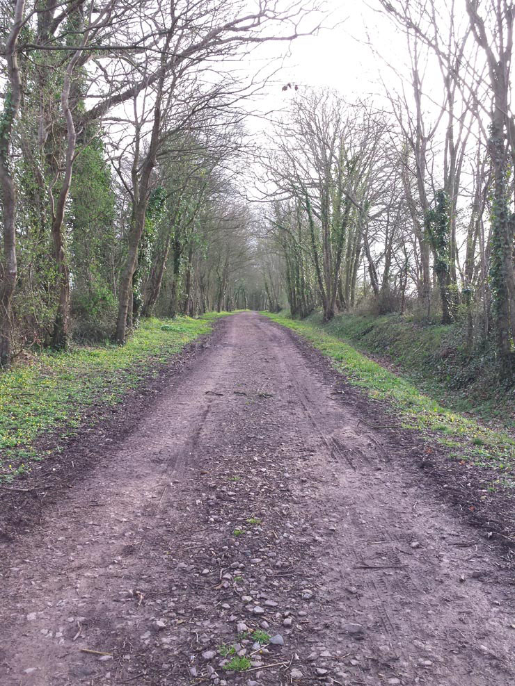 Trionic_Veloped_14_160