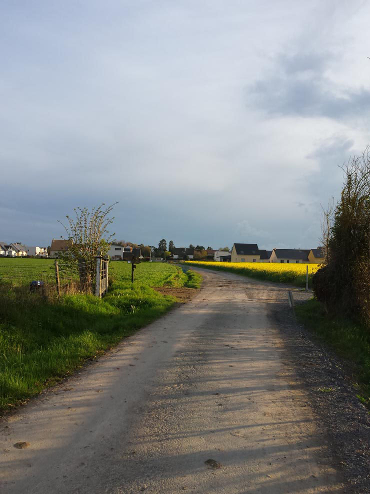 Trionic_Veloped_14_162