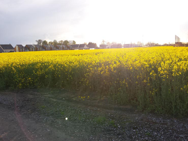 Trionic_Veloped_14_163