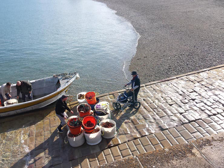 Veloped_Cotentin_090