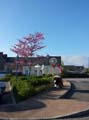 20170413_191233