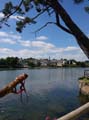 20170524_160247