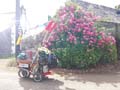 20170629_122302
