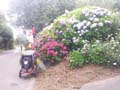 20170721_154938