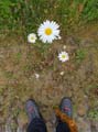 20180519_110420