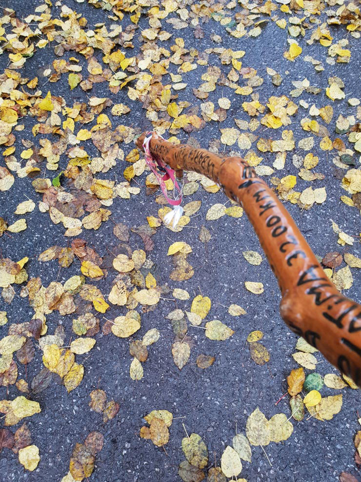 20181108_115905
