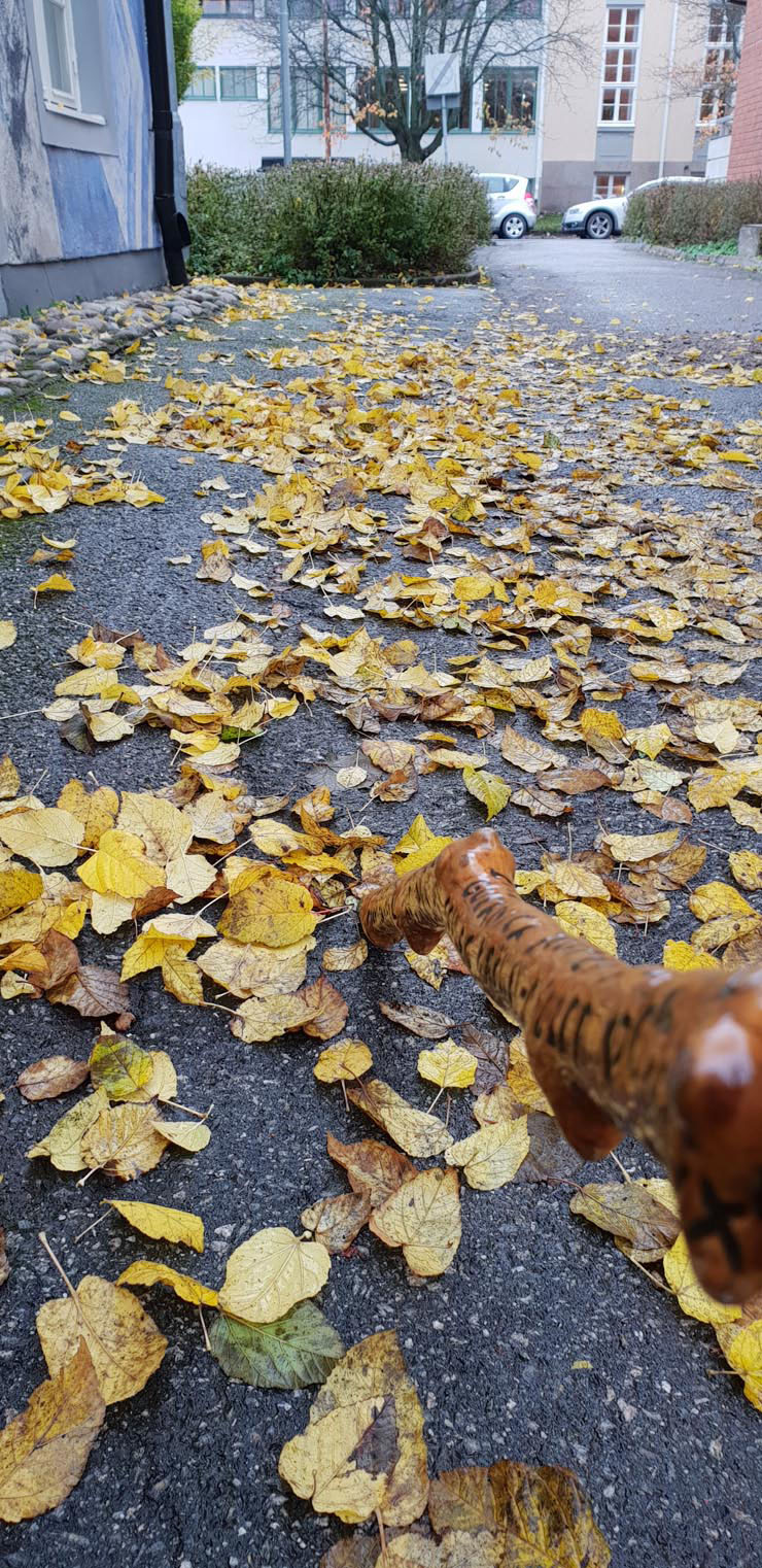 20181108_124804
