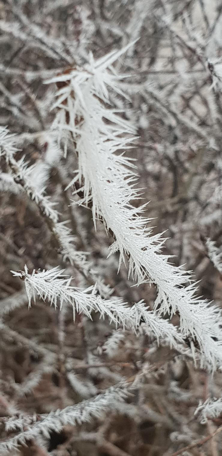 20181123_090237