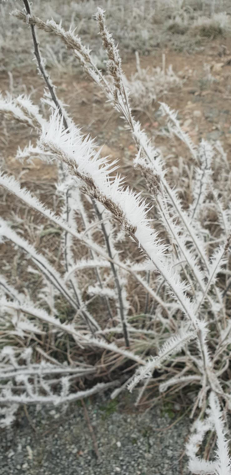 20181123_093121