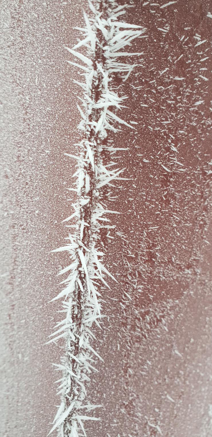 20181123_093452