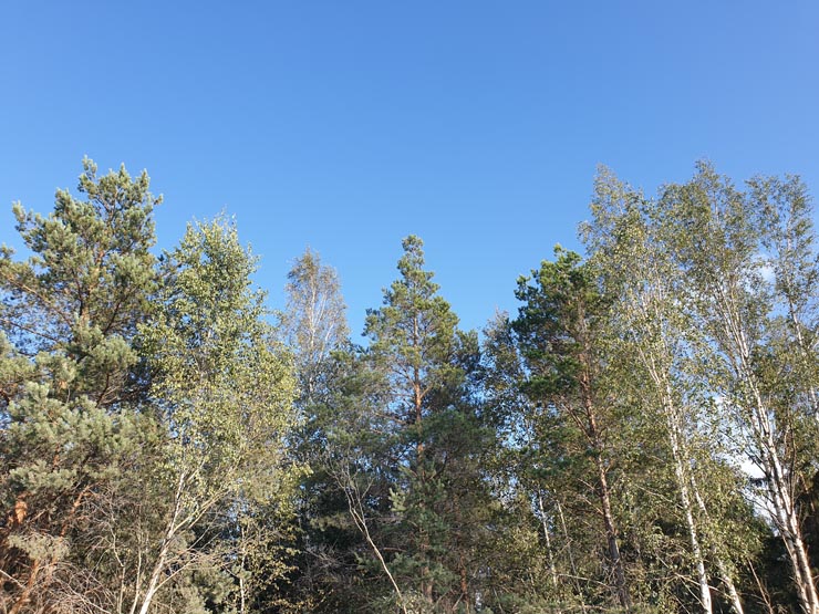 20190828_181314