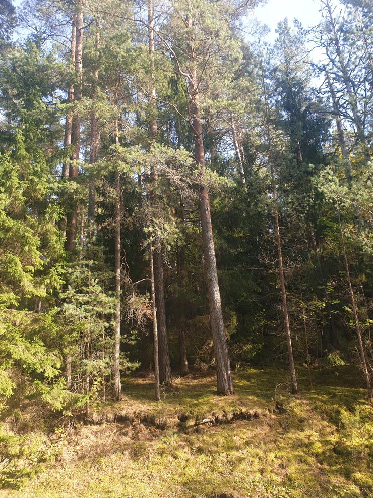 20190926_154546