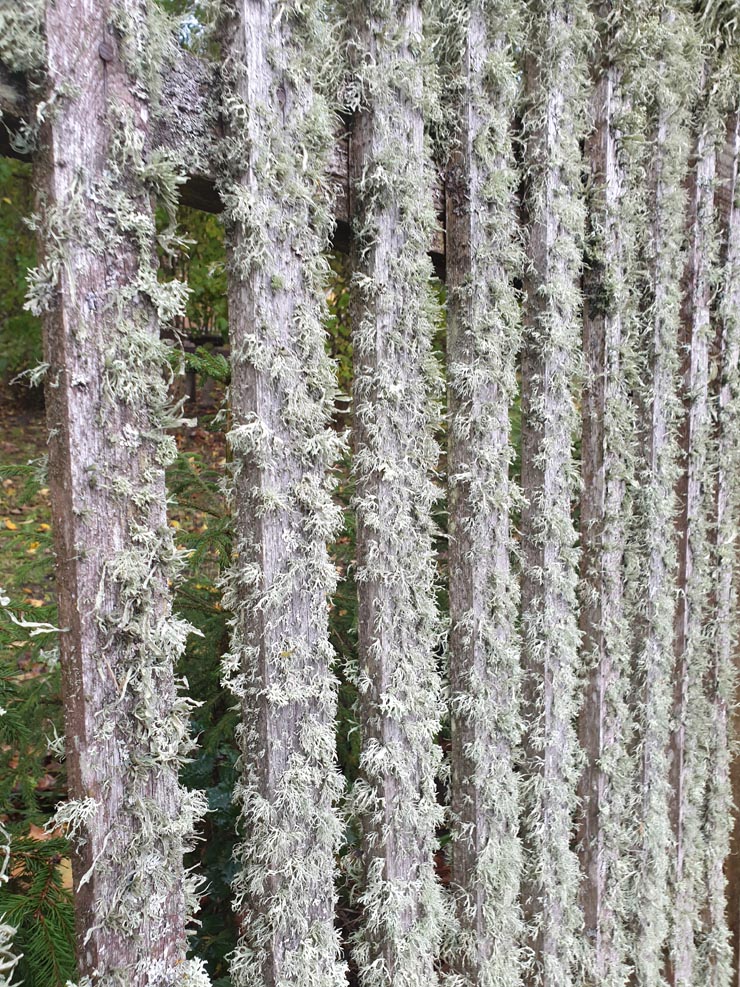 20190929_093011