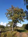 20190913_161442