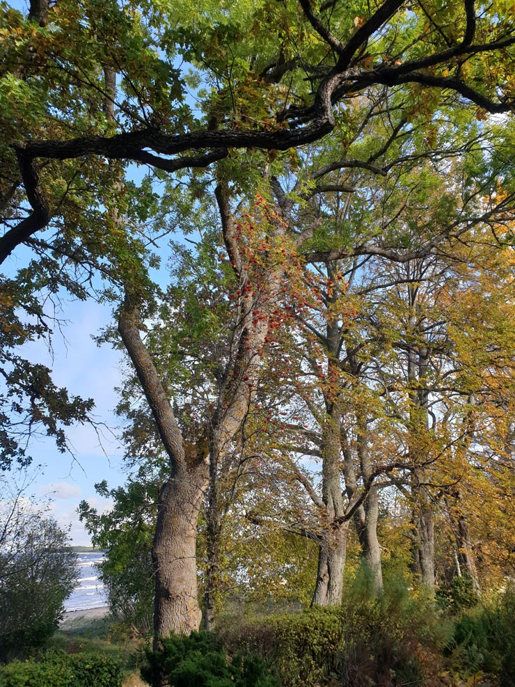 20191002_105333