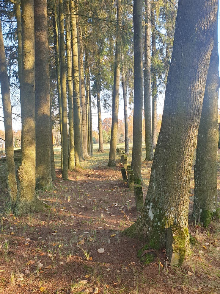 20191016_100304