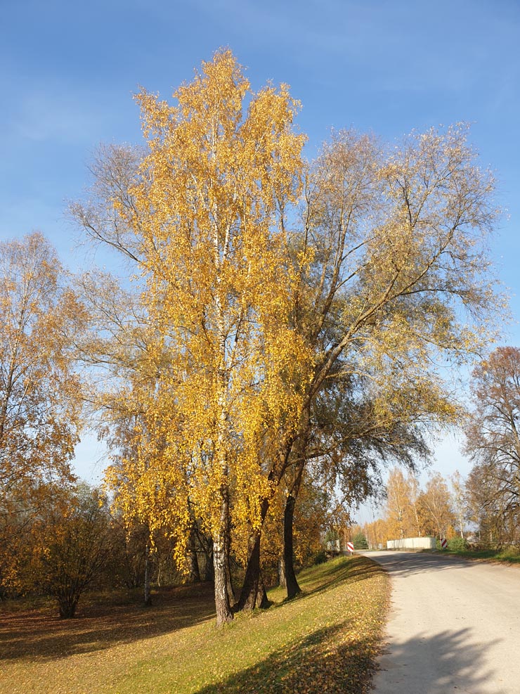 20191016_135838