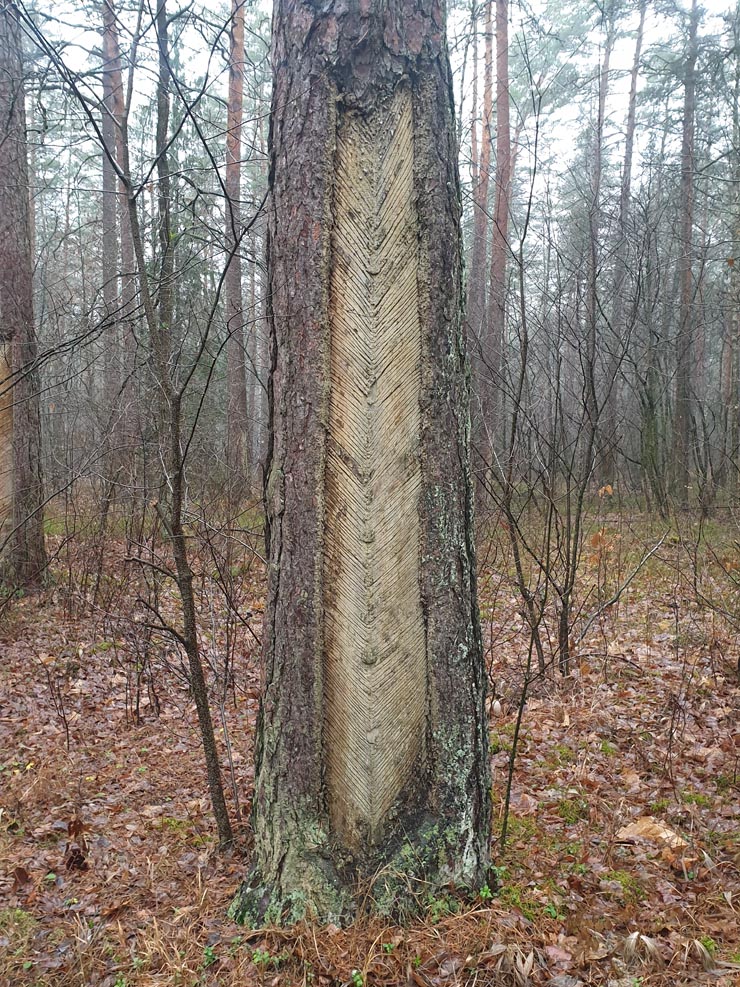 20191222_102411