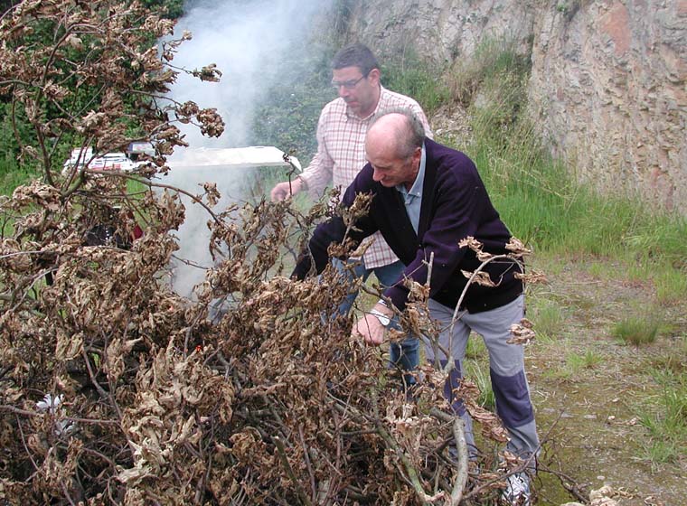 Arrigorriaga_Feu_003