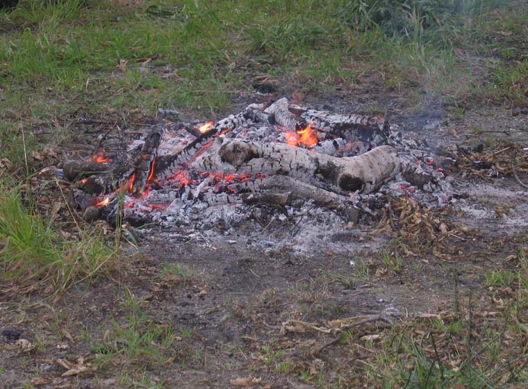 Arrigorriaga_Feu_051