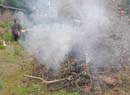 Arrigorriaga_Feu_001