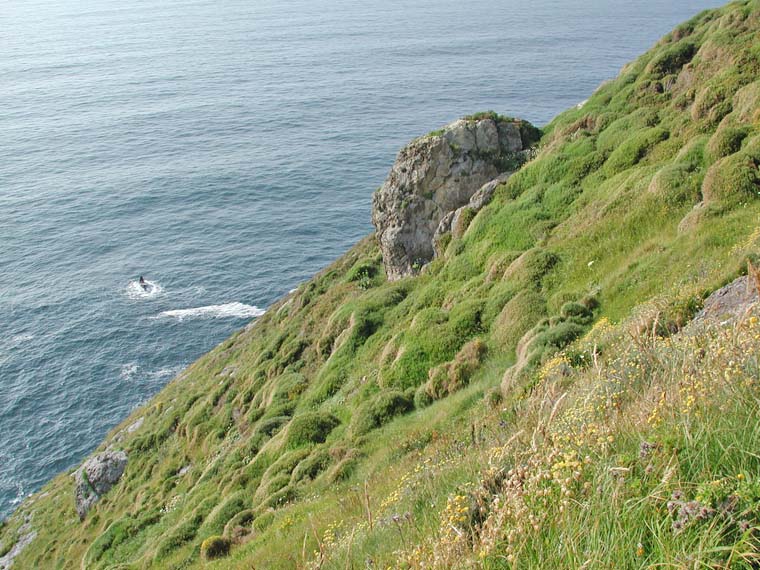 Gaztelugatxe_021