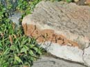 Gaztelugatxe_024