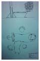 croquis_060