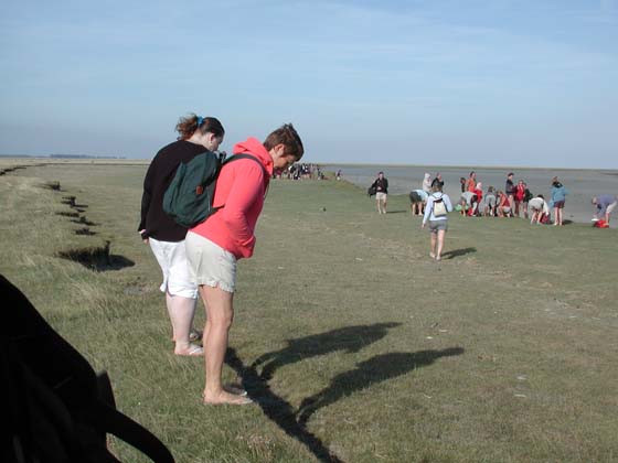 Mont-Saint-Michel_017