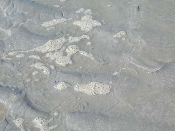 Mont-Saint-Michel_050