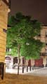 BMDP_186