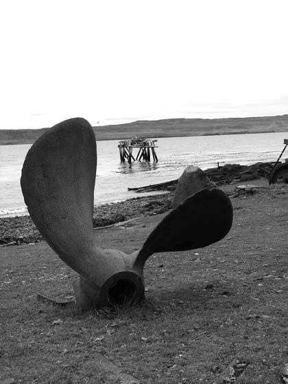 S0050_007