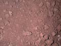 S0096_053