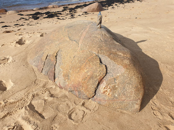 S1696_041