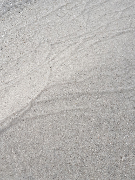 S1719_020