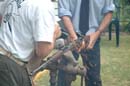 Peace_Action_Desarme_021