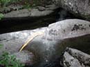 Coloration_a_la_riviere_005