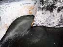 Coloration_a_la_riviere_020
