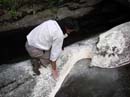 Coloration_a_la_riviere_031