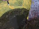 Coloration_a_la_riviere_047