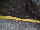Coloration_a_la_riviere_061