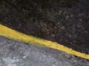 Coloration_a_la_riviere_062