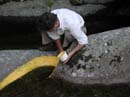 Coloration_a_la_riviere_064