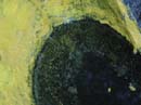 Coloration_a_la_riviere_070